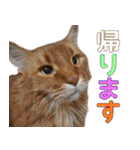 のほほん太っちょボーイズ2（個別スタンプ：22）