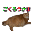 のほほん太っちょボーイズ2（個別スタンプ：25）