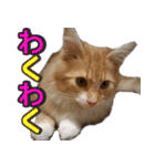 のほほん太っちょボーイズ2（個別スタンプ：28）