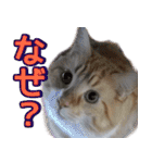 のほほん太っちょボーイズ2（個別スタンプ：30）