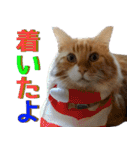 のほほん太っちょボーイズ2（個別スタンプ：31）