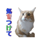 のほほん太っちょボーイズ2（個別スタンプ：32）