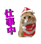 のほほん太っちょボーイズ2（個別スタンプ：36）