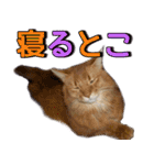 のほほん太っちょボーイズ2（個別スタンプ：37）