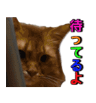 のほほん太っちょボーイズ2（個別スタンプ：38）