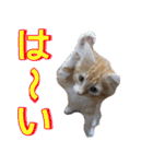 のほほん太っちょボーイズ2（個別スタンプ：39）