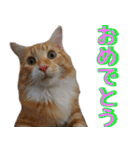 のほほん太っちょボーイズ2（個別スタンプ：40）