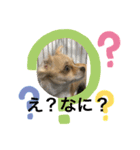 はるちゃん その二（個別スタンプ：4）