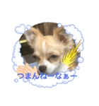 はるちゃん その二（個別スタンプ：5）