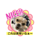 はるちゃん その二（個別スタンプ：8）