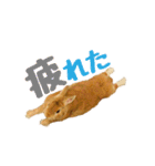 うさぎのニコ(ネザーランドドワーフ)（個別スタンプ：18）