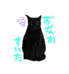 黒猫のむうた（個別スタンプ：5）