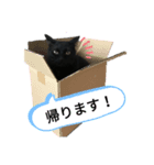 黒猫のむうた（個別スタンプ：6）