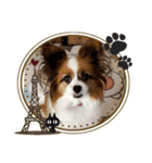 犬のロッキー3（個別スタンプ：1）
