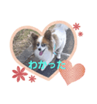 犬のロッキー2（個別スタンプ：3）