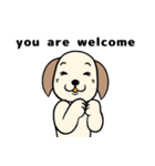 ぴこぴこパピーの お祝い 英語版（個別スタンプ：21）