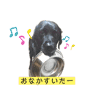 黒ラブソレイユ（個別スタンプ：13）