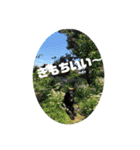 黒ラブソレイユ（個別スタンプ：26）