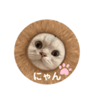 うちの琥珀さん。（個別スタンプ：32）