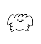 白い犬の方。(マルチーズ)（個別スタンプ：1）
