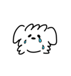 白い犬の方。(マルチーズ)（個別スタンプ：2）