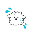 白い犬の方。(マルチーズ)（個別スタンプ：12）