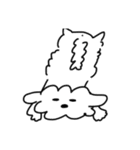 白い犬の方。(マルチーズ)（個別スタンプ：21）