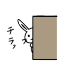 かなとらびっと（個別スタンプ：4）