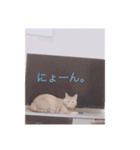 めめちゃんとお友達スタンプ（個別スタンプ：1）