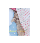 めめちゃんとお友達スタンプ（個別スタンプ：6）