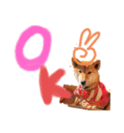 ブサカワ柴犬きなこ②（個別スタンプ：24）