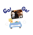 asnrknFam（個別スタンプ：1）
