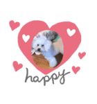 asnrknFam（個別スタンプ：3）
