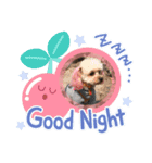 asnrknFam（個別スタンプ：4）