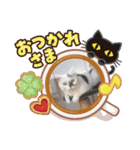 asnrknFam（個別スタンプ：5）