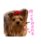 おおにしけのワンコ（個別スタンプ：5）