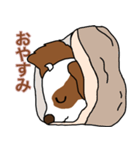 キャバわん（個別スタンプ：6）