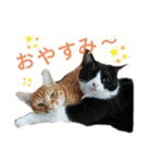 ふうきん②（個別スタンプ：3）