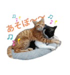 ふうきん②（個別スタンプ：5）