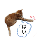 ふうきん②（個別スタンプ：6）