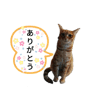 ふうきん②（個別スタンプ：13）