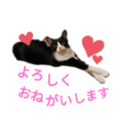 ふうきん②（個別スタンプ：20）