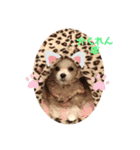 ココマルチ（個別スタンプ：2）