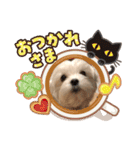 ココマルチ（個別スタンプ：20）