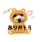 元気なゴンとキルア（個別スタンプ：6）