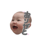 Mi-STMP（個別スタンプ：31）