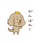 crown-k わんこスタンプ（個別スタンプ：1）