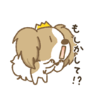 crown-k わんこスタンプ（個別スタンプ：8）