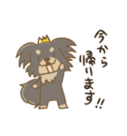 crown-k わんこスタンプ（個別スタンプ：11）