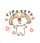 crown-k わんこスタンプ（個別スタンプ：16）